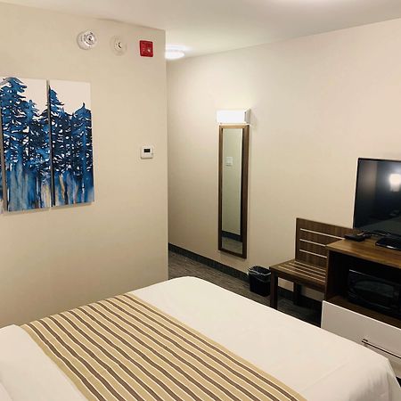 Hotel Chandni Victoria ميسيسوجا المظهر الخارجي الصورة
